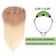 Blond Cendré Ombré Volumateur (Topper) Perte De Cheveux Pour La Couronne Complète (Dimensions: 6.5 pouces x 2.25 pouces) Cheveux Remy Hair