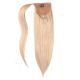 Blond Cendré Ponytail Cheveux Naturels