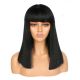 DM1810844-v2 - Perruque Courte Cheveux Synthétique Noire Avec Toupet  [VENTE FINALE]