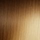 22 pouces Rallonges À Clips Cheveux Naturels Remy Brun Clair Chaud Fondu Blond Miel #T9A 613 115g (PRÉCOMMANDE, EXPÉDITION EN 4 À 6 SEMAINES)