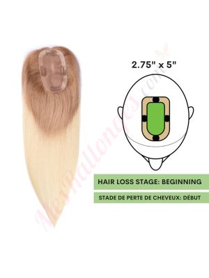  Blond Cendré Ombré Volumateur (Topper) Perte De Cheveux Sur La Séparation De Cheveux (Dimensions: 2.75 pouces x 5 pouces) Cheveux Remy Hair