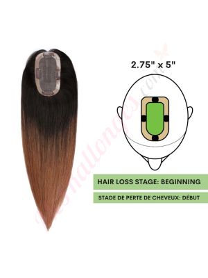 Brun Ombré Volumateur (Topper) Perte De Cheveux Sur La Séparation De Cheveux (Dimensions: 2.75 pouces x 5 pouces) Cheveux Remy Hair